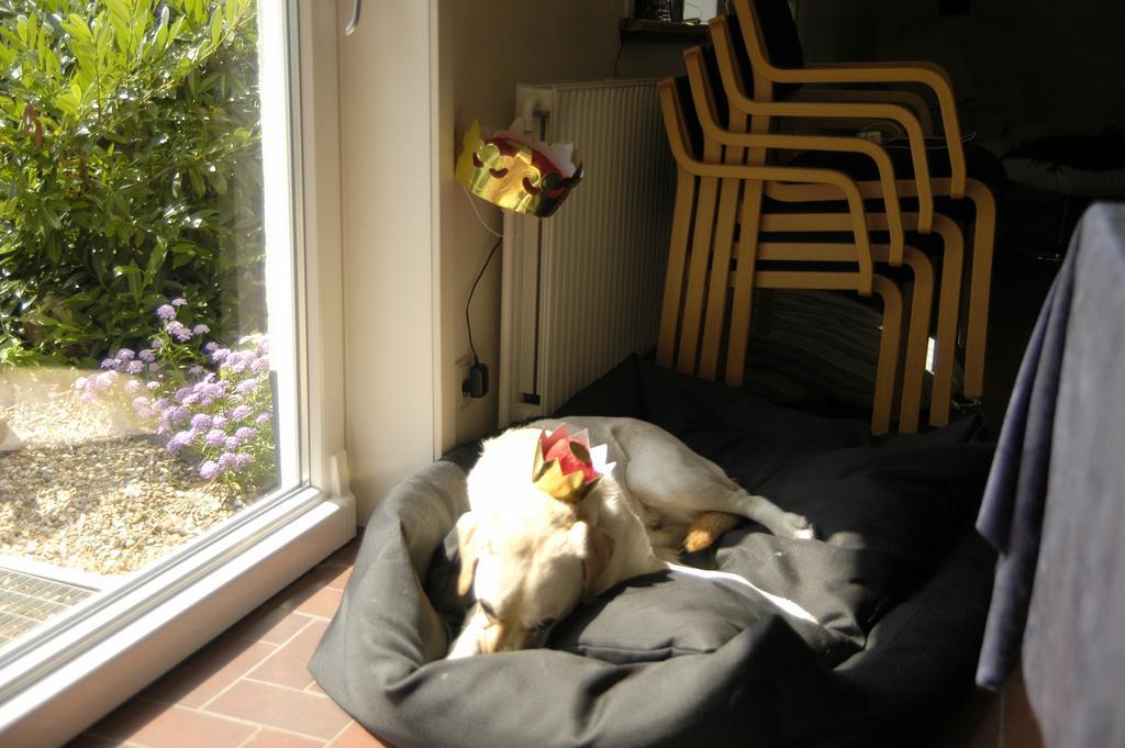 Nr. Nebel Overnatning Hostel Nørre Nebel Екстериор снимка